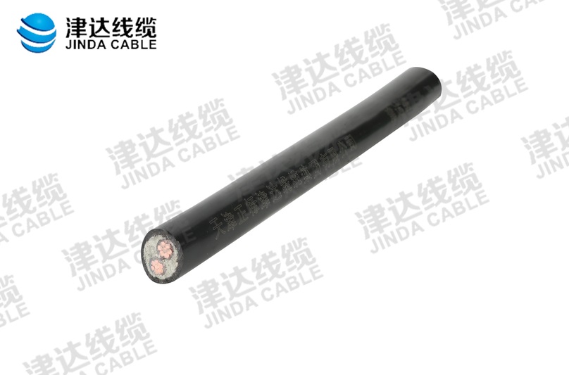 YJV 交聯聚乙烯絕緣聚氯乙烯護套電力電纜 2*16㎡